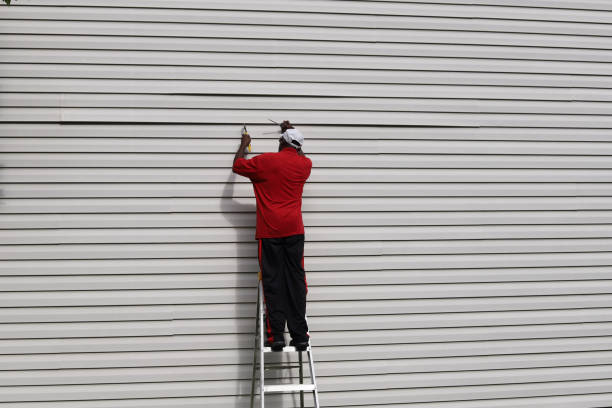 Best Steel Siding Installation  in Battle Mountain, NV